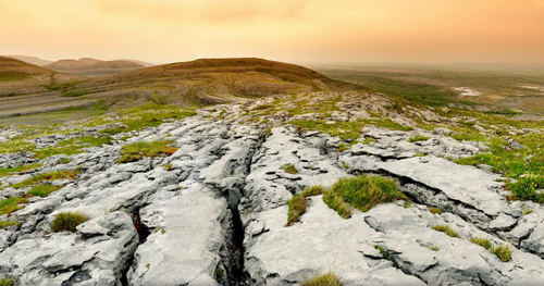 Burren, Dunguaire Castle and Galway City tour
