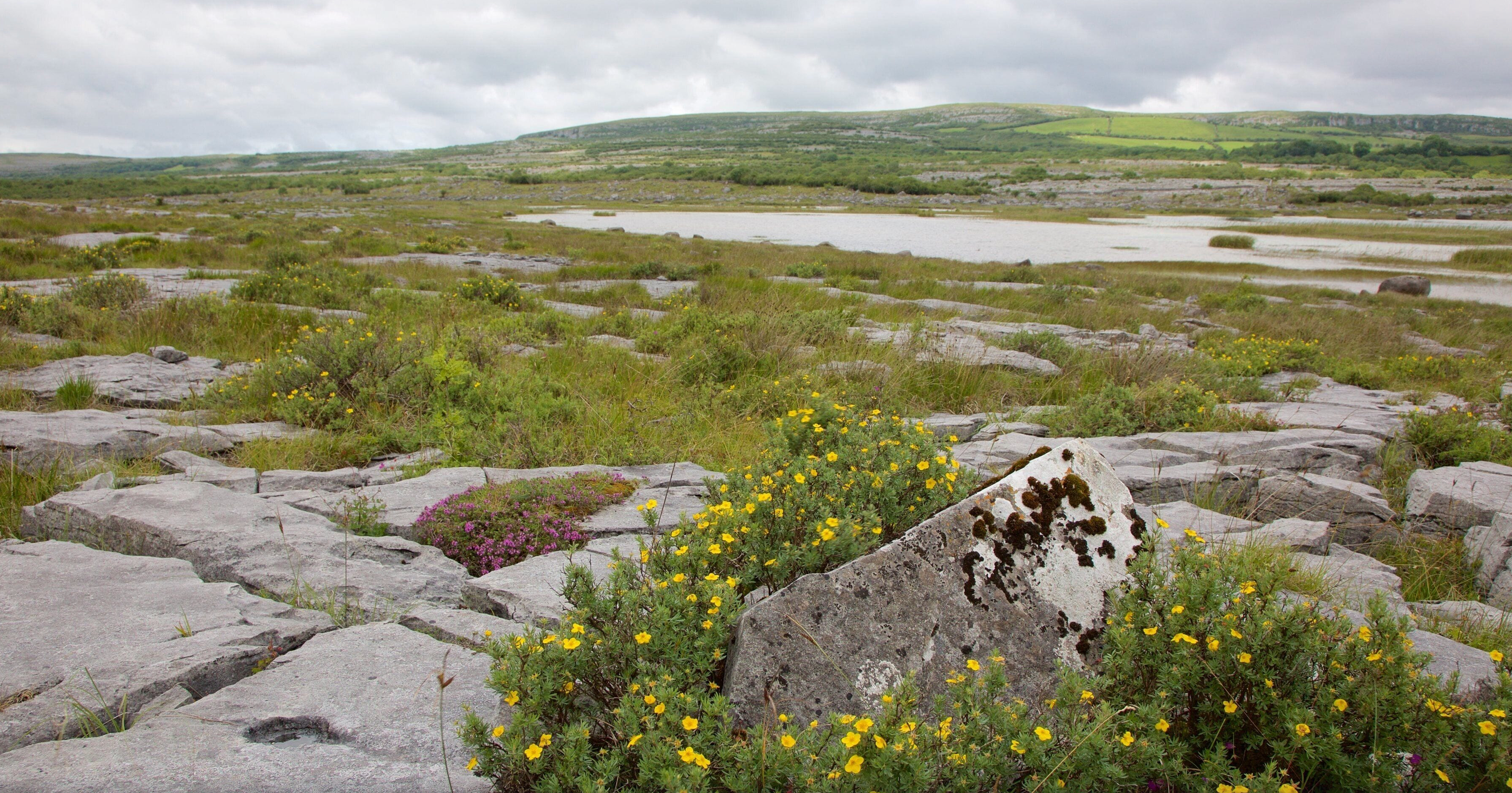 The Burren tour