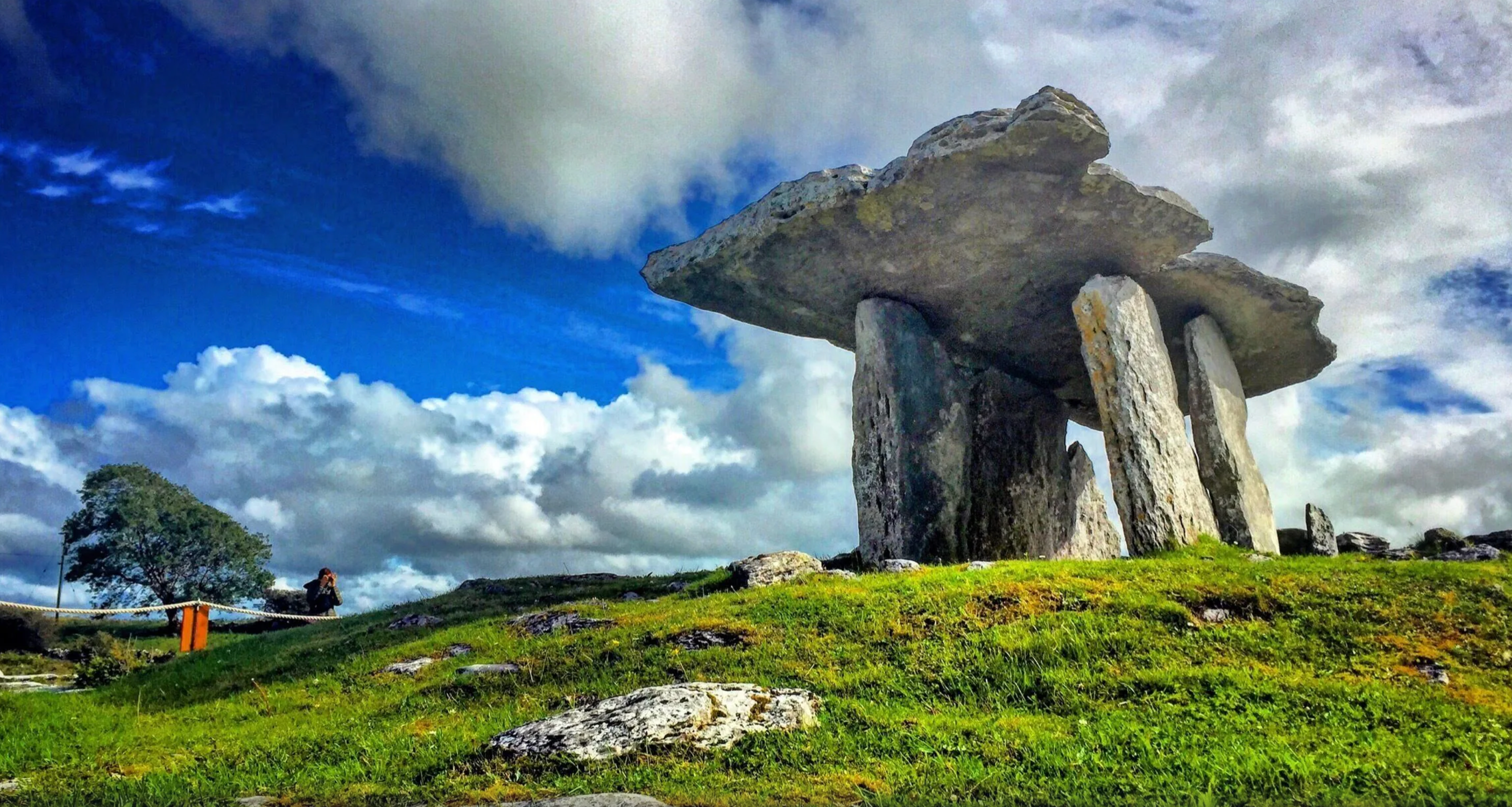 Burren, Dunguaire Castle and Galway City tour